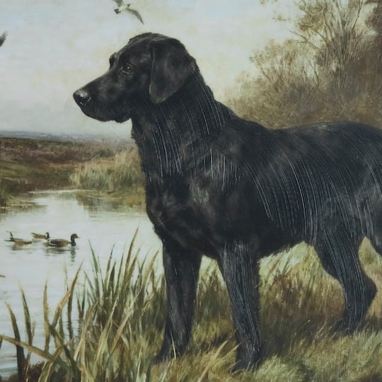 Framed Black Lab Wall Décor by Ashland®